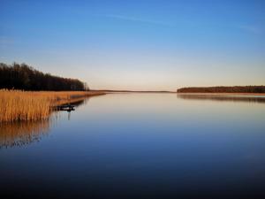 a view of a lake with trees and water at Domki pod mazurskim niebem in Pilchy +4 photos