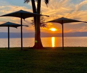 Kinar的住宿－Doga Resort - דוגה ריזורט，两把遮阳伞,在树前,日落