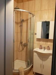 a bathroom with a shower and a sink at Anneta s StudioBear s Path in Sklíthron
