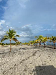 a group of palm trees on a sandy beach at Napa Village Playa Blanca Resort in Río Hato