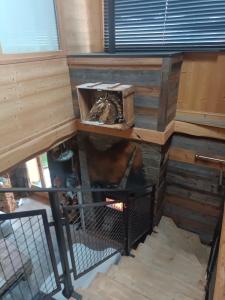 Palanda nebo palandy na pokoji v ubytování Chalet des secrets