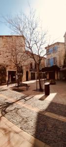 a park with a tree and a bench on a street at LOUSTERAPH in Saint-Rémy-de-Provence
