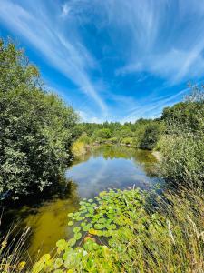 瑟穆瓦河畔夫雷斯的住宿－Manoir Nestor - Chairière，河里长着水里和树上的树叶