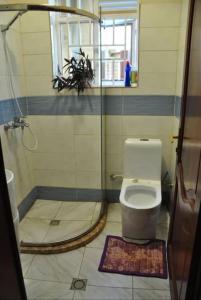 吉佳利的住宿－VILLA MODERNE CHEZ YVONNE，一间带卫生间和淋浴的小浴室