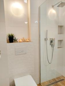ein Bad mit einer Dusche und einem WC in der Unterkunft Apartament Morze Sztuki II, Jantar in Jantar