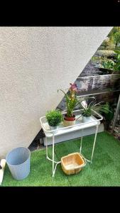 a table with potted plants on it next to a wall at LE COSY studio proche PARIS avec parking & terrasse in Courcouronnes