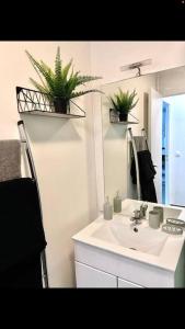 a bathroom with a sink and a mirror and plants at LE COSY studio proche PARIS avec parking & terrasse in Courcouronnes