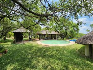 a small pool in a yard with a gazebo at Lama Lama Game Reserve in Mount Hope