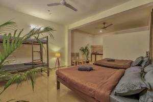 sypialnia z 2 łóżkami i rośliną w obiekcie Rosa Bella Resort-TBV w mieście Calangute