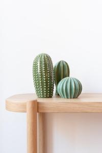 three cactuses sitting on a wooden shelf at Lille Centre - Nice ap. 4pers in Lille