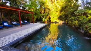 una piscina de agua con sillas azules y árboles en Shangri-La Country Hotel & Spa, en Modimolle