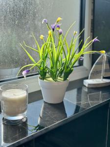 a glass of water and a potted plant on a counter at Oxford Studio Flat in Oxford