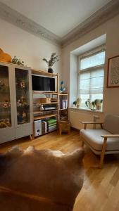 ein Wohnzimmer mit einem Sofa und einem TV in der Unterkunft Gemütliche Wohnung in Gohlis in Leipzig