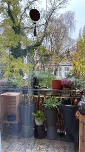 a group of potted plants sitting on a balcony at Gemütliche Wohnung in Gohlis in Leipzig