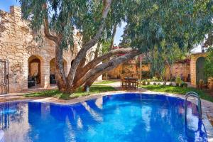 a blue swimming pool with a tree in a yard at DAR ETTO Riad & Spa in Essaouira +81 photos