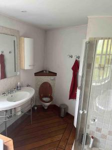 y baño con aseo, lavabo y ducha. en Luxury Cottage Only 250m From Beach And Forest, en Rude