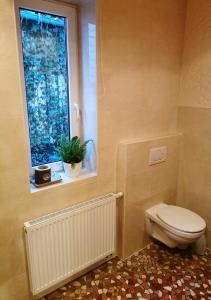 a bathroom with a toilet and a window at Ferienwohnung mit Schlossblick in Wernigerode