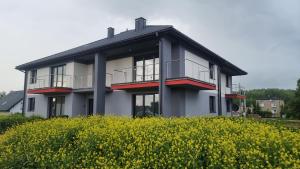 a house on a hill with a field of yellow flowers at Happy time together apartament z Jacuzzi in Wojkowice