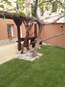 uma árvore na relva ao lado de um edifício em Karla Babić em Senj