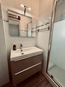 een badkamer met een wastafel en een douche bij T3 Paisible très proche plage in Canet-en-Roussillon