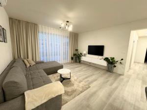 a living room with a couch and a flat screen tv at Klimatizovaný Apartmánový dom s vírivkou, 9A in Senec