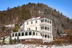 ein großes weißes Haus auf einem Berg in der Unterkunft Bio-Apartments Villa Thusnelda in Bad Schandau