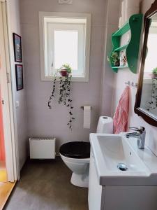 a bathroom with a toilet and a sink and a window at Skrea Backe Bo in Falkenberg