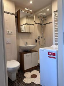 ein Badezimmer mit einem Waschbecken, einem WC und einem Spiegel in der Unterkunft Ausblick Spessart Ferienwohnung nähe Therme und Salzgrotte in Bad Soden-Salmünster