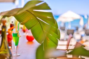 a table with a green plant and a glass at Mare Garden Hotel in Akyarlar