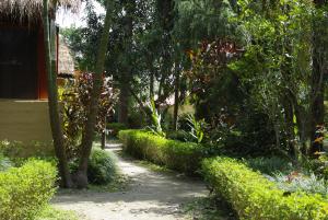 Jardí fora de Forest Hideaway Resort Pvt Ltd