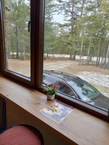 uma janela com um livro e flores sobre uma mesa em Tara Bozic Apartmani em Kaludjerske Bare