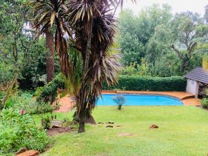 a palm tree in a yard with a swimming pool at Naisiae - Lovely 1-bedroom vacation home with pool in Johannesburg