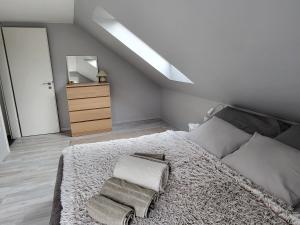 una camera con un grande letto e un lucernario di Nori&Alex Balaton Apartment a Vonyarcvashegy
