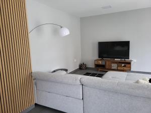 un soggiorno con divano e TV a schermo piatto di Nori&Alex Balaton Apartment a Vonyarcvashegy