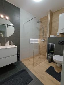 een badkamer met een douche, een toilet en een wastafel bij Room in the city 2 in Sopron