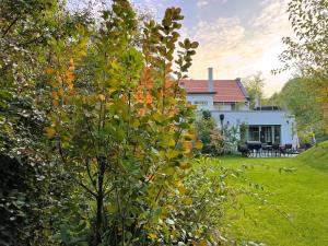 Vonkajšia záhrada v ubytovaní Villa Viridis Bükkalja