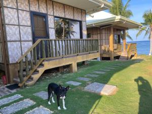 a black and white dog standing in front of a house at Villa Malinao Oceanview Resort - Deluxe bungalow in Burgos