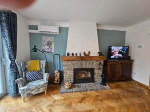 sala de estar con chimenea y TV en Au Pied Du Château, en Bouillon