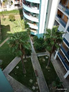 een luchtzicht op palmbomen voor een gebouw bij Attico luminoso I colori del sole in Montesilvano