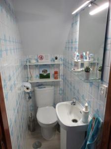 uma pequena casa de banho com WC e lavatório em Marcos y Tota em Punta del Hidalgo