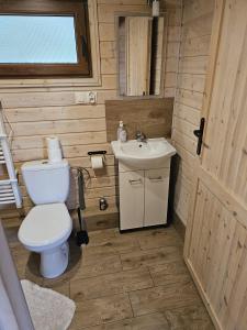 een kleine badkamer met een toilet en een wastafel bij Agro Rancho domki in Podgórzyn