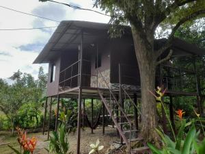 a tree house in the middle of a forest at Chava Camping Rio Celeste in Rio Celeste