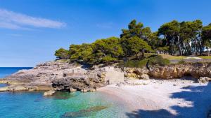 una spiaggia con rocce e alberi e l'oceano di Park Plaza Arena Pula a Pola (Pula)