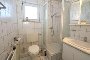 a bathroom with a toilet and a shower and a sink at Watthaus-2 in Rantum