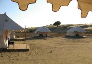 un groupe de tentes au milieu d'un champ dans l'établissement Killa Bhawan, à Jaisalmer