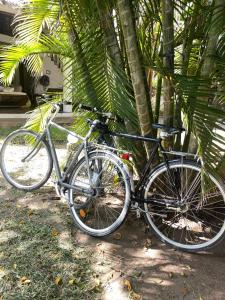 two bikes parked next to a palm tree at Great Rustic Escape 3 bedroom Villa, Casuarina, Malindi in Malindi