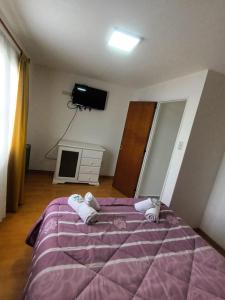 um quarto com uma cama roxa e uma televisão em Lo de fernando 3 em Río Gallegos