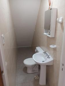 a small bathroom with a toilet and a sink at Lo de fernando 3 in Río Gallegos
