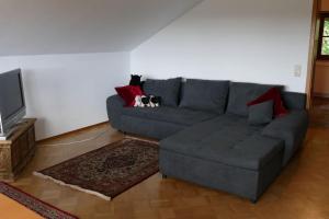 a living room with a blue couch with a dog on the pillow at Bushof - Leben auf dem Land in Sulzbach an der Murr