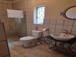 a bathroom with a toilet and a sink at Palms Lodge in Kroonstad